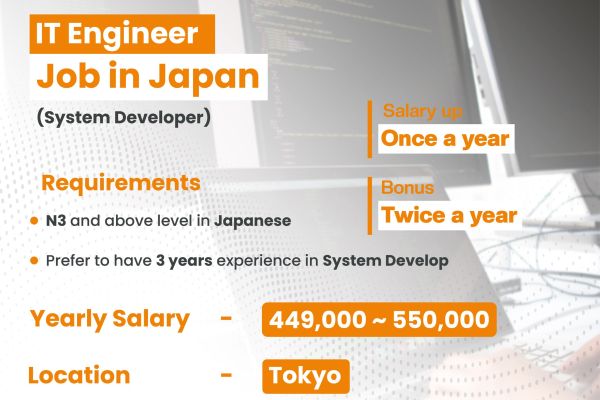 IT Engineer (Software Developer)