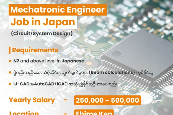Mechatronic Engineer (Circuit/System Design)